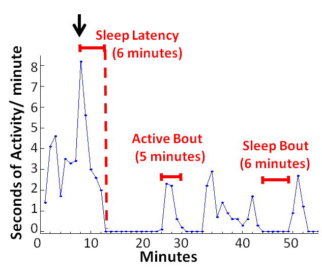 sleep trace